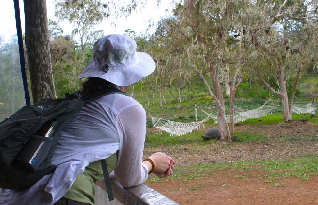 Angie Hockman, The Un-Cruise, Santa Cruz highlands, giant tortoise