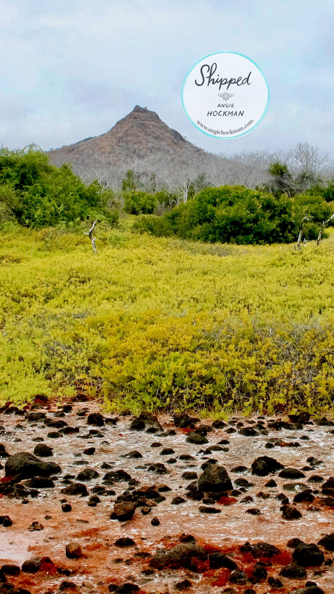 Santa Cruz Island, photo by Angie Hockman