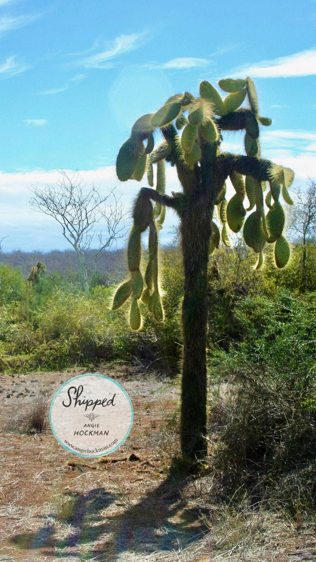 Santa Cruz Island, Galapagos, photo by Angie Hockman