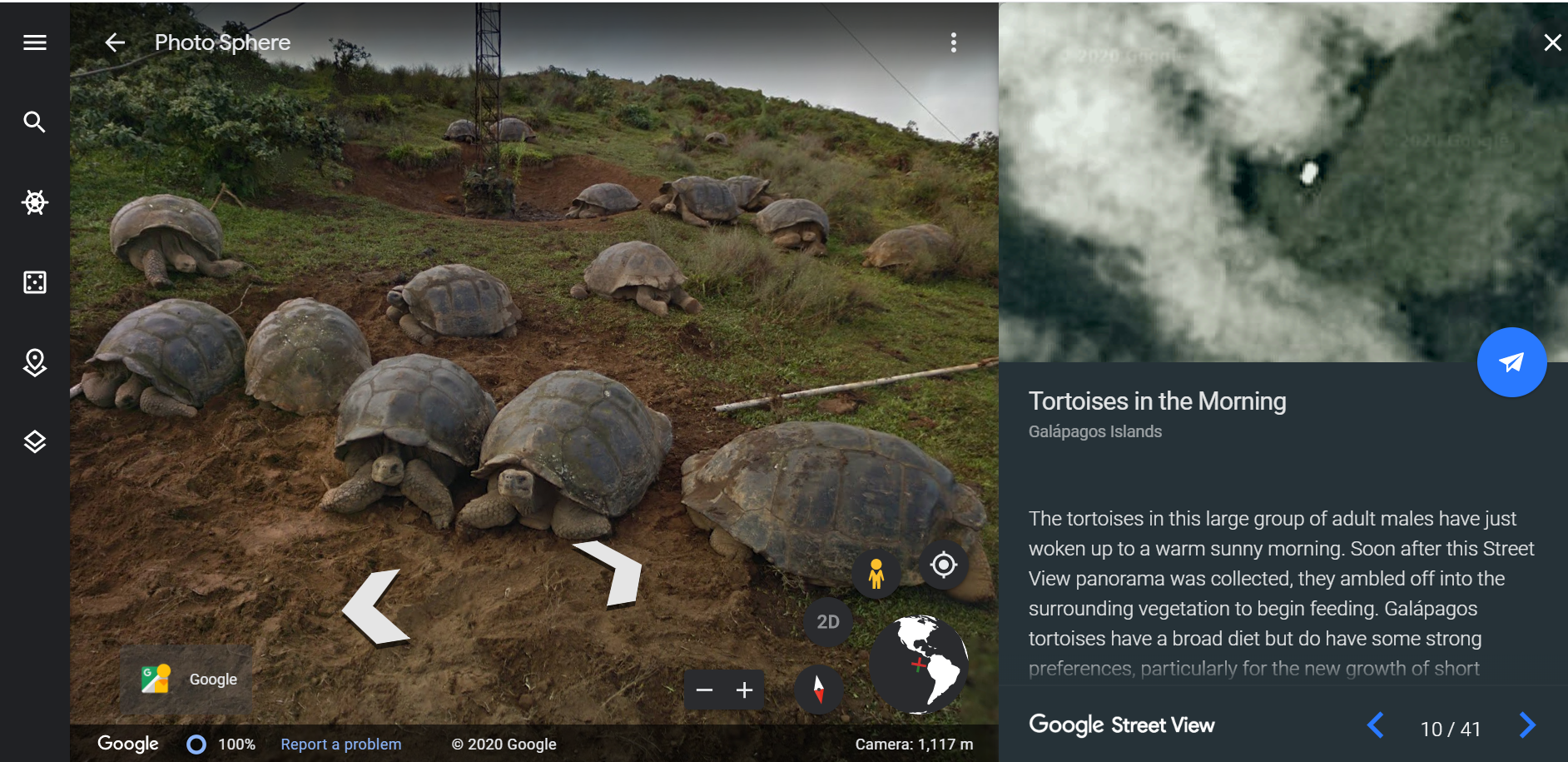 Google Earth Galapagos Tortoises 