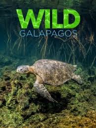 Wild Galapagos